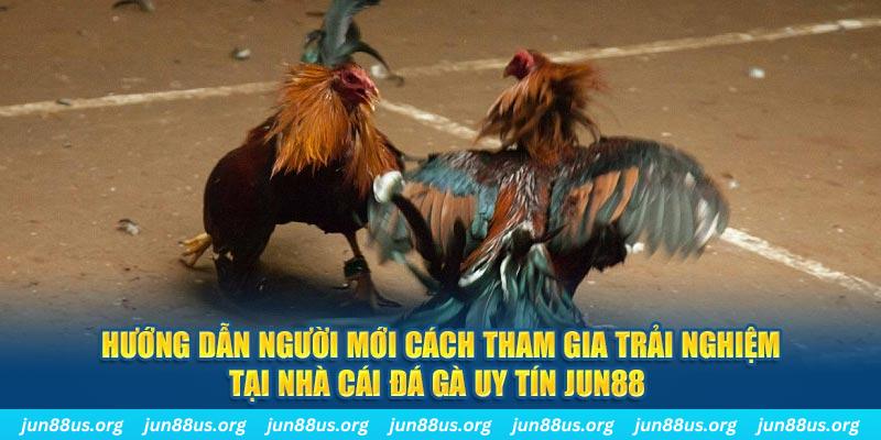 go 99 loi game dot kich ket noi may chu that bai