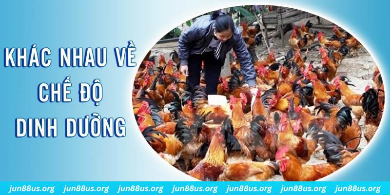 go 99 xổ số miền nam thứ năm hàng tuần