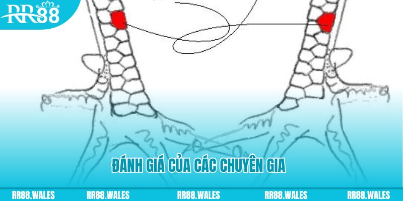 go 99 V8 Game Bài 3d