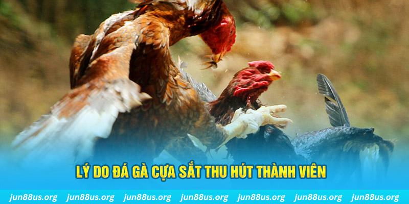 go 99 chiếm slot là gì