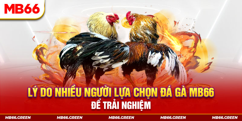 go 99 KA Điện Tử