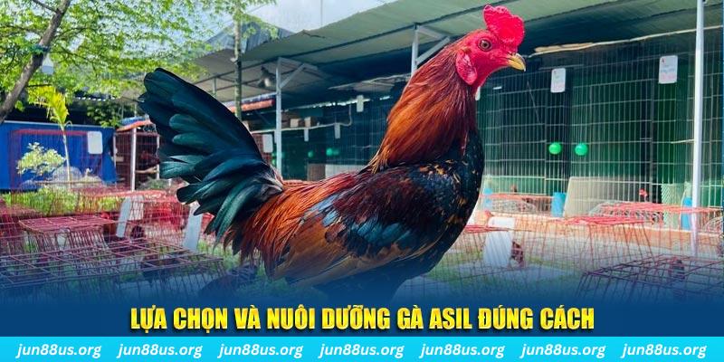 go 99 xổ số đài bắc