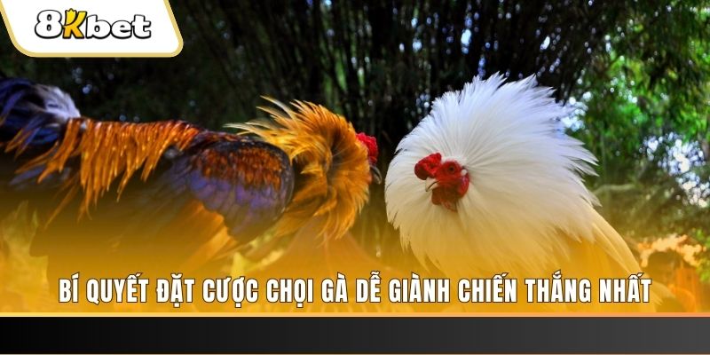 go 99 xổ số thứ hai hàng tuần