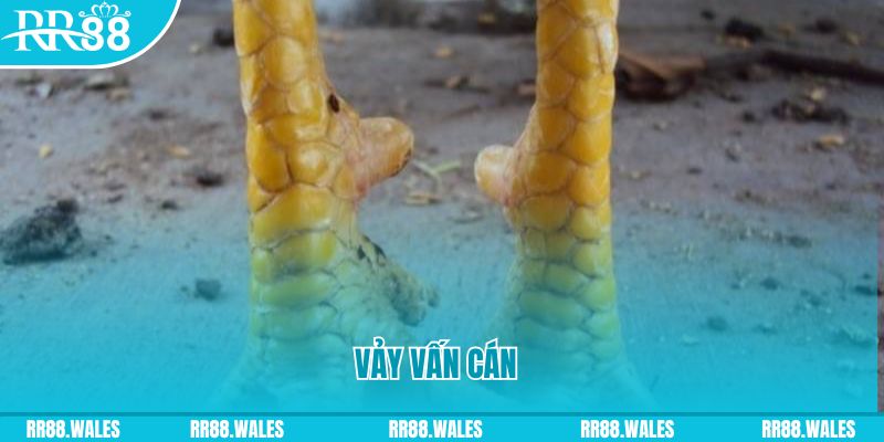 go 99 đăng nhập nổ hũ hôm nay