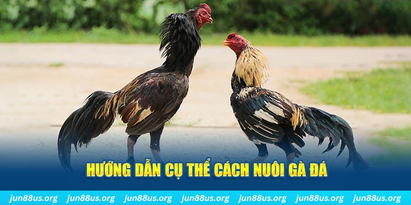 go 99 đăng nhập sòng bạc số 1