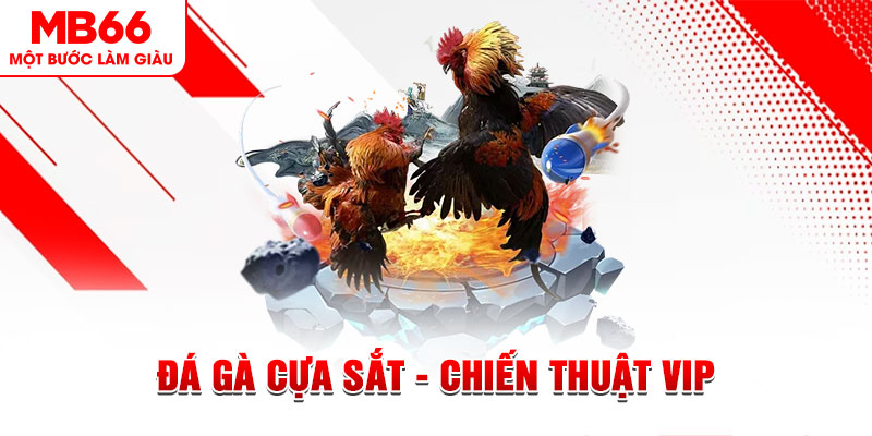 go 99 xổ số trực tiếp hôm nay
