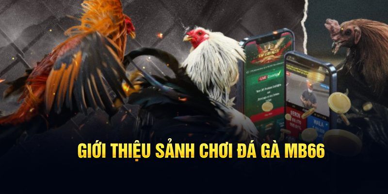 go 99 đăng nhập poker hôm nay