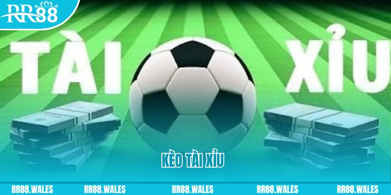 go 99 Giành Chủ Bull Bull